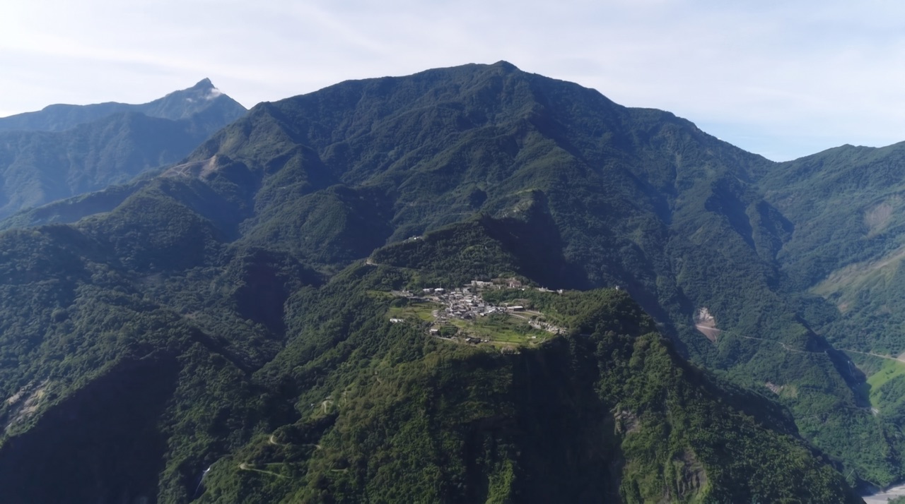種一片森林